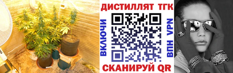 ОМГ ОМГ ТОР  Бавлы  Дистиллят ТГК концентрат 